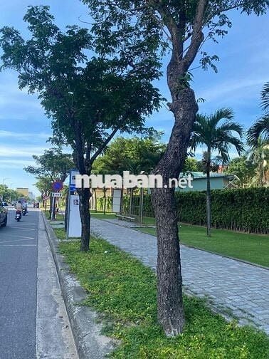 SIÊU PHẨM ĐẤT NỀN VEN BIỂN – ĐẮC ĐỊA BÊN HYATT RESORT