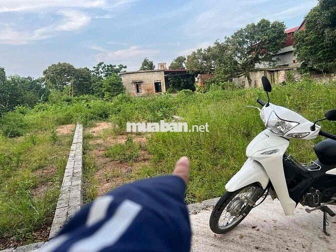 🏡 CHÍNH CHỦ GỬI BÁN LÔ ĐẤT BÌNH XÁ – TIỀN PHONG – ÂN THI – HƯNG YÊN 📌