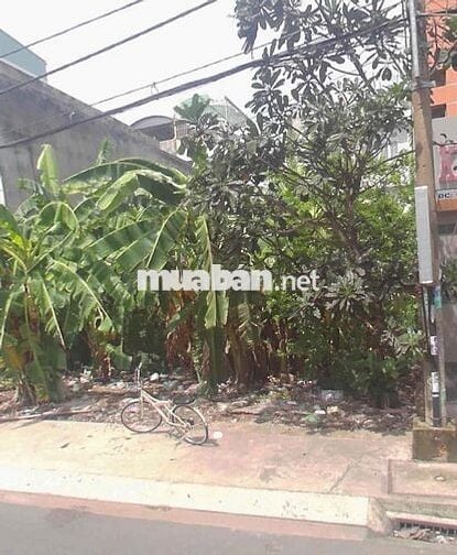 BÁN ĐẤT KHU DÂN CƯ NGAY GẦN BX Q8