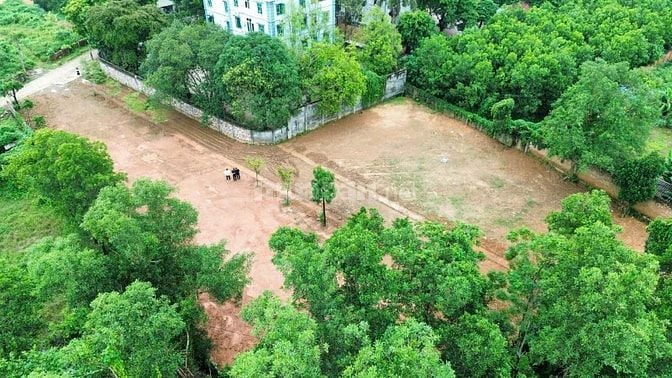 SIÊU HOT – RA MẮT LÔ ĐẤT F0 LA GIÁN 