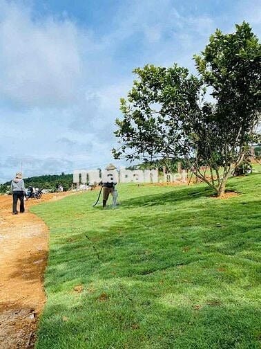 BÁN LÔ ĐẤT MẶT TIỀN TRẦN ĐẠI NGHĨA, PHƯỜNG LÂM VIÊN - ĐÀ LẠT
