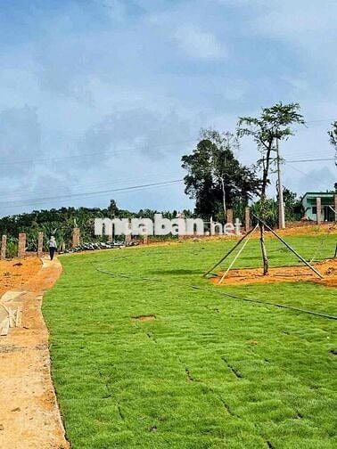 BÁN LÔ ĐẤT MẶT TIỀN TRẦN ĐẠI NGHĨA, PHƯỜNG LÂM VIÊN - ĐÀ LẠT