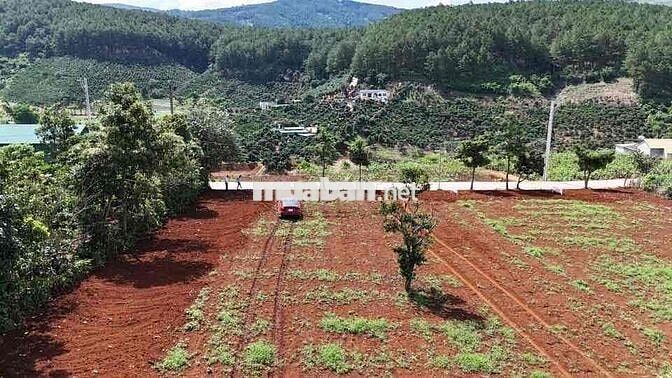cần bán đất mặt tiền đường quốc lộ 725 đối diện cà phê mê linh