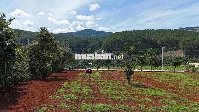 cần bán đất mặt tiền đường quốc lộ 725 đối diện cà phê mê linh