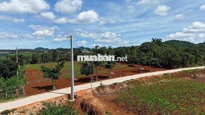 cần bán đất mặt tiền đường quốc lộ 725 đối diện cà phê mê linh