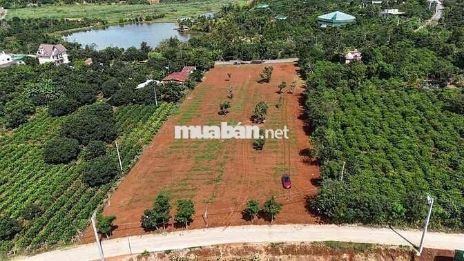 cần bán đất mặt tiền đường quốc lộ 725 đối diện cà phê mê linh