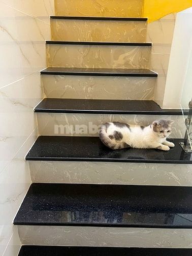Bán gấp nhà hẻm 5m gần chợ Phú Lâm q6