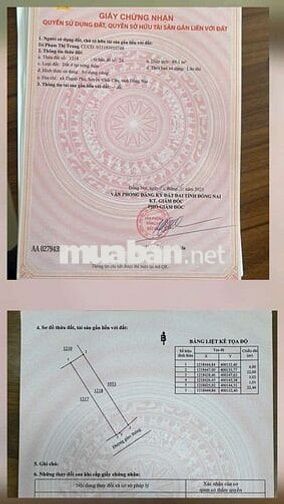 Nhà sổ riêng thổ cư Phường Tân Triều