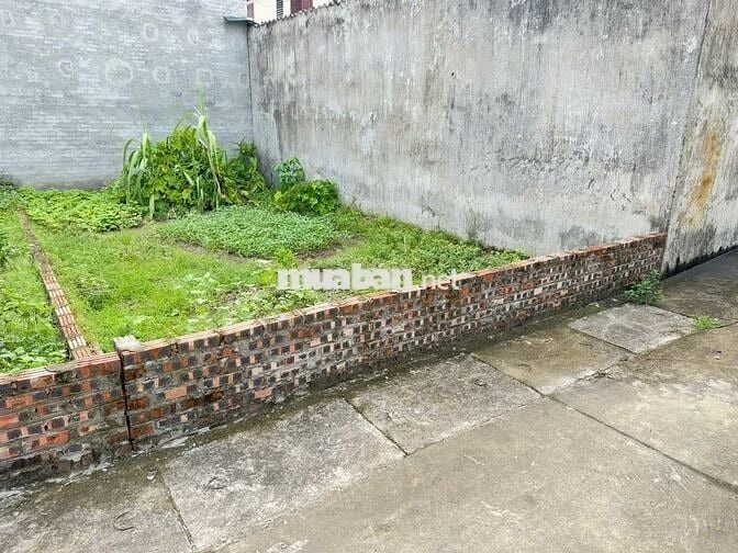 Đất đẹp tổ 5, Quang Minh, Mê Linh, HN. oto đỗ cửa. DT 65m, giá 3,1 tỷ.