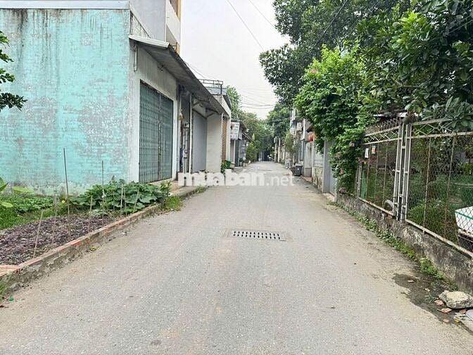 Bán đất thổ cư 86m², hướng Đông Nam, trung tâm Chi Đông, Mê Linh, Hà