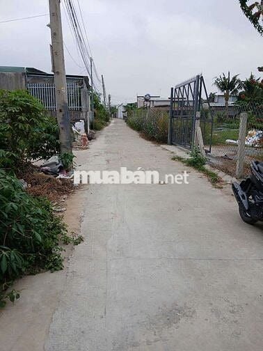 Nhà sổ riêng thổ cư Phường Tân Triều