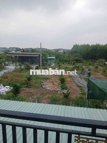 Nhà sổ riêng thổ cư Phường Tân Triều