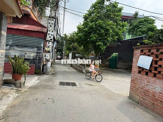 Bán đất thổ cư 86m², hướng Đông Nam, trung tâm Chi Đông, Mê Linh, Hà
