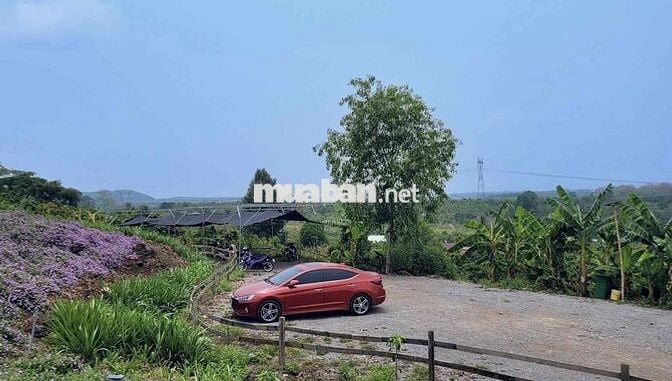 Hyundai Elantra 2021 Sport 1.6 T-GDI - 35000 km