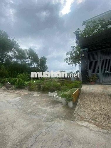 Bán đất Nhơn Đức xây Dựng tự do nhà bè