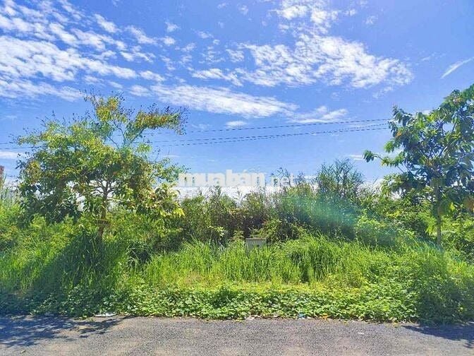 BÁN NỀN TRỤC CHÍNH A1 - KDC TÂN PHÚ, Q. CÁI RĂNG, TP CẦN THƠ