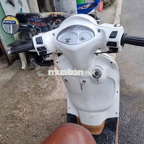 Atila alyzabet Fi tiếc kiệm xăng biển 64 máy êm ru