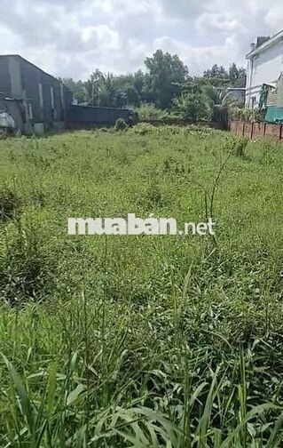 ĐẤT NGANG 20M DÀI 50M - CÓ 160M2 THỔ CƯ