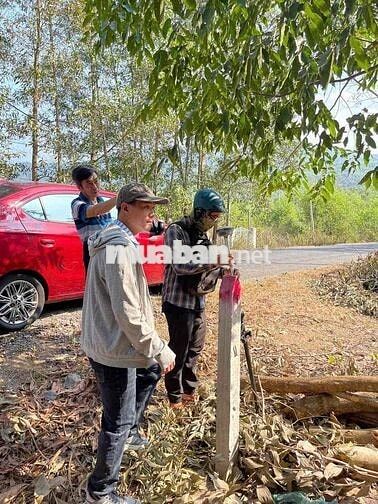 Bán đất thổ cư mặt đường Yangbay