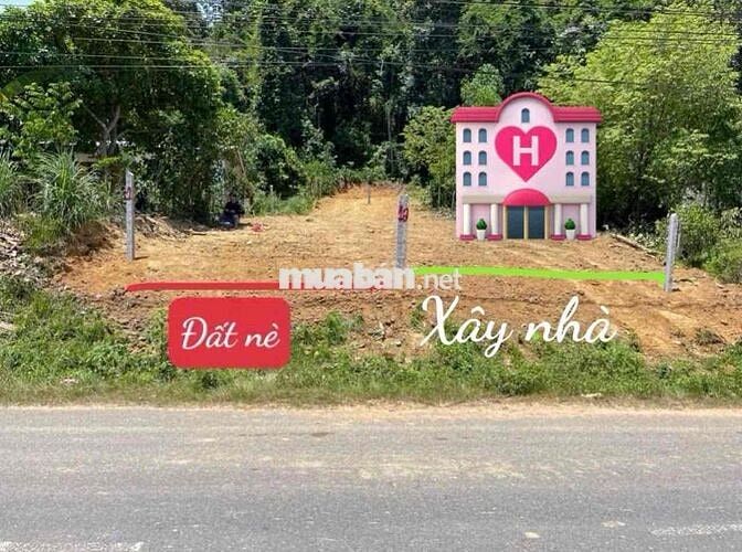 Bán đất thổ cư mặt đường Yangbay