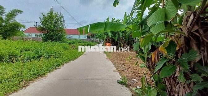 Đất full thổ 136m2 phường 9, hẻm xe hơi, trục thẳng khu dân cư
