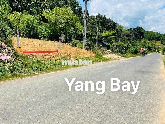Bán đất thổ cư mặt đường Yangbay