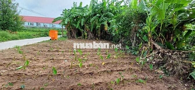 Đất full thổ 136m2 phường 9, hẻm xe hơi, trục thẳng khu dân cư