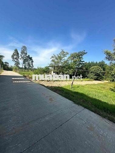 CHÍNH CHỦ BÁN LỔ LÔ ĐẤT VƯỜN 225m2 SỔ SẴN