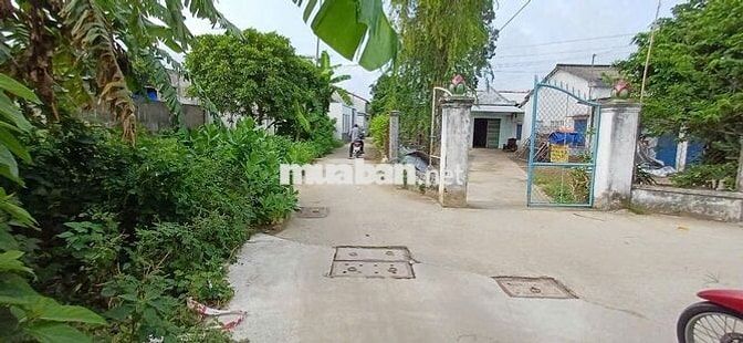 Đất full thổ 136m2 phường 9, hẻm xe hơi, trục thẳng khu dân cư
