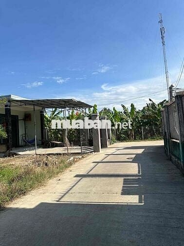 CHÍNH CHỦ BÁN LỔ LÔ ĐẤT VƯỜN 225m2 SỔ SẴN