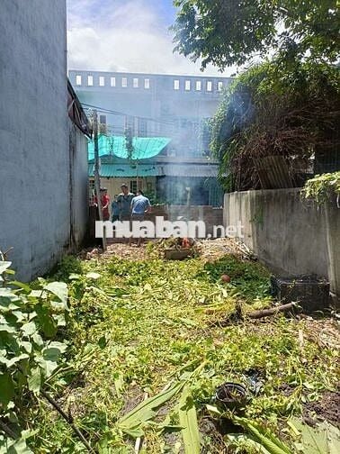 BÁN ĐẤT THỔ CƯ. SHR. GẦN TRẦN VĂN MƯỜI. ĐƯỜNG XE HƠI