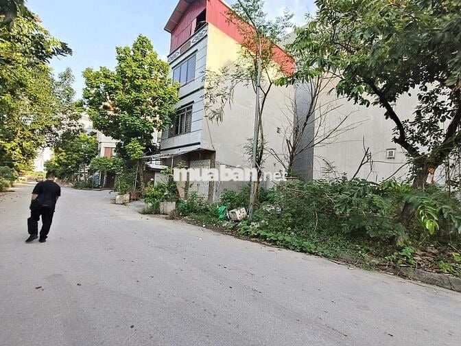 Bán đất dịch vụ Đìa Lão,Kiến Hưng. Dt 50m × Mt 5.6m. Giá nhỉnh 11 tỷ.