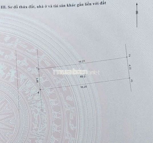 💥💥 HIẾM ĐẸP ĐẤT 👉 TRục Chính Đường Thông Ô TÔ tránh xe máy 👉 Tại X