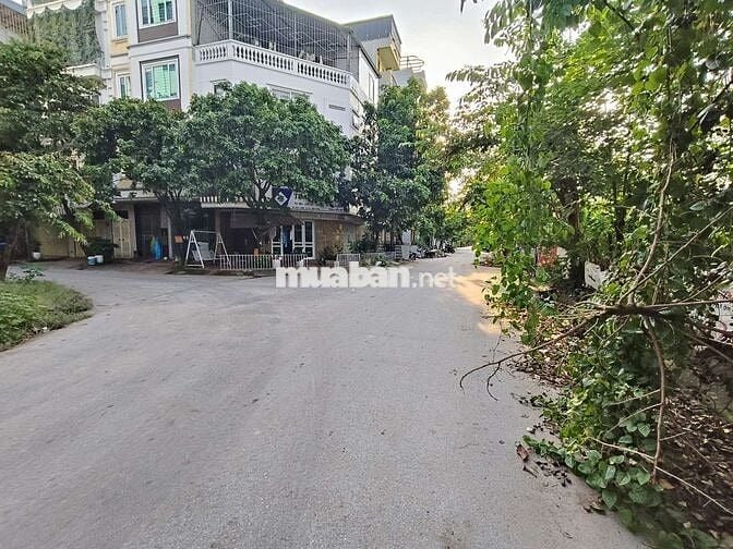 Bán đất dịch vụ Đìa Lão,Kiến Hưng. Dt 50m × Mt 5.6m. Giá nhỉnh 11 tỷ.