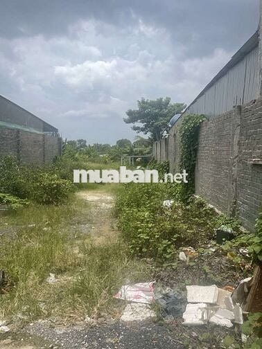 🌟 BÁN ĐẤT 8000m² TRUNG TÂM HÓC MÔN – MẶT TIỀN ĐƯỜNG 16m 🌟