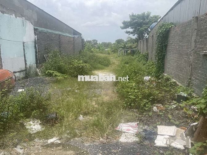 🌟 BÁN ĐẤT 8000m² TRUNG TÂM HÓC MÔN – MẶT TIỀN ĐƯỜNG 16m 🌟