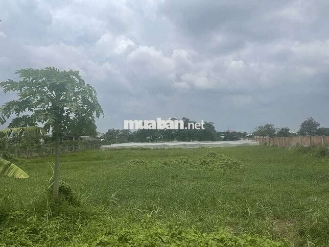 🌟 BÁN ĐẤT 8000m² TRUNG TÂM HÓC MÔN – MẶT TIỀN ĐƯỜNG 16m 🌟