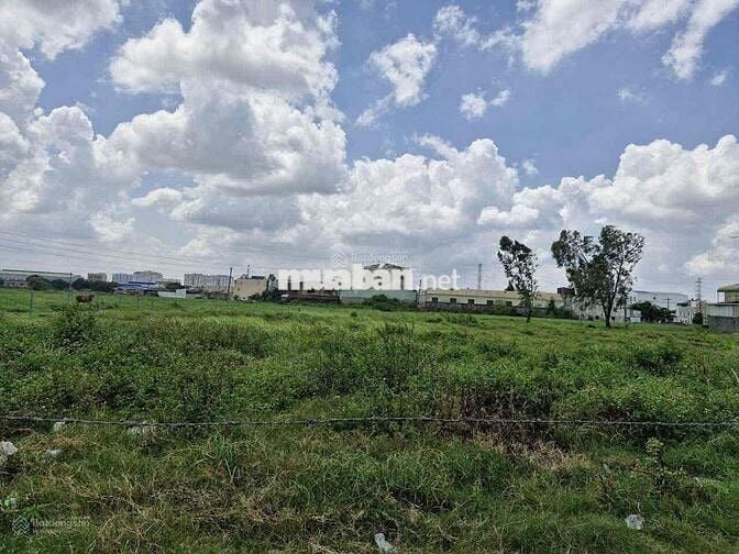 BÁN GẤP ĐẤT ĐẦU TƯ ĐẸP GIÁ TỐT Ở HÓC MÔN