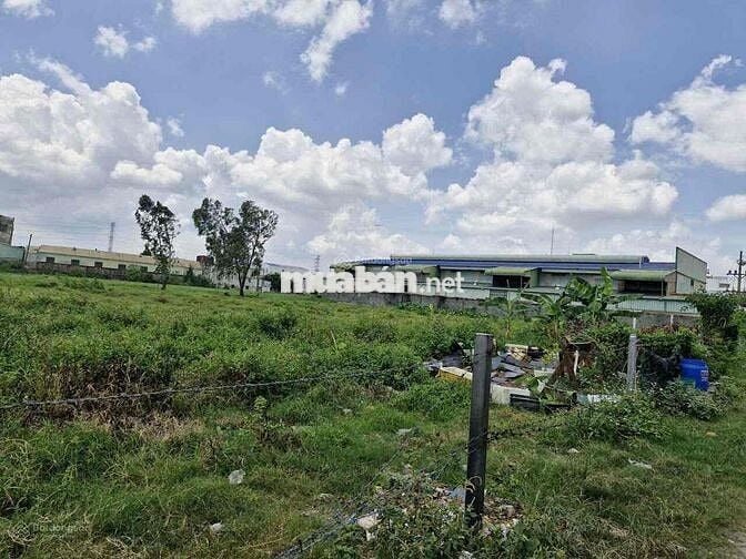 BÁN GẤP ĐẤT ĐẦU TƯ ĐẸP GIÁ TỐT Ở HÓC MÔN