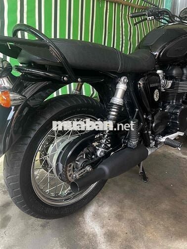 Triumph T100 2012