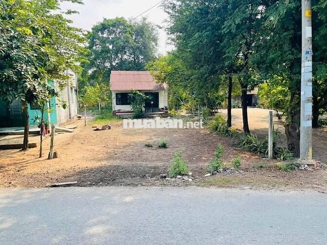 420Triệu/275m2 Mặt tiền QL22 ,Xã Phước Thạnh,Sổ Hồng-Công Chứng Ngay