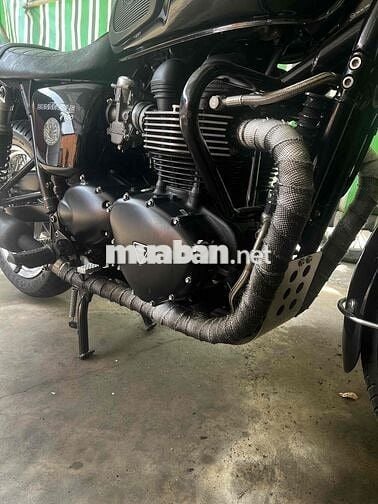 Triumph T100 2012