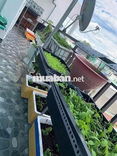 🏦 Nhà mới đẹp NC nup hẻm Đs8 P11