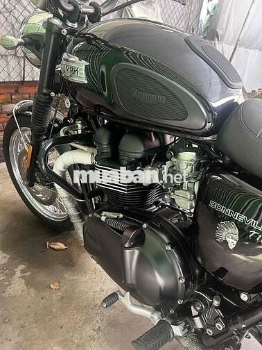 Triumph T100 2012