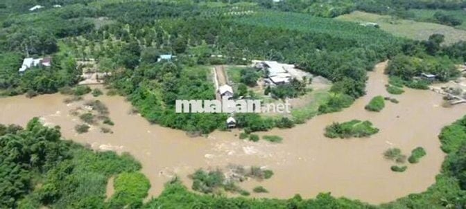 Bán đất và nhà kiên cố để nghĩ dưỡng giáp sông Đồng Nai