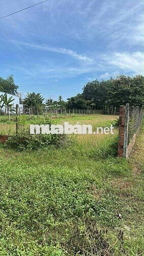 ĐẤT MẶT TIỀN ĐƯỜNG 377 - 915m2 15x61M ĐÃ CÓ THỔ CƯ