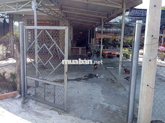 Bán đất và nhà kiên cố để nghĩ dưỡng giáp sông Đồng Nai