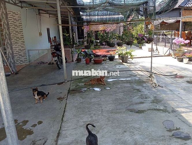 Bán đất và nhà kiên cố để nghĩ dưỡng giáp sông Đồng Nai