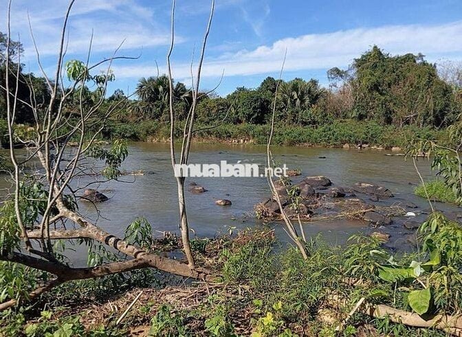 Bán đất và nhà kiên cố để nghĩ dưỡng giáp sông Đồng Nai