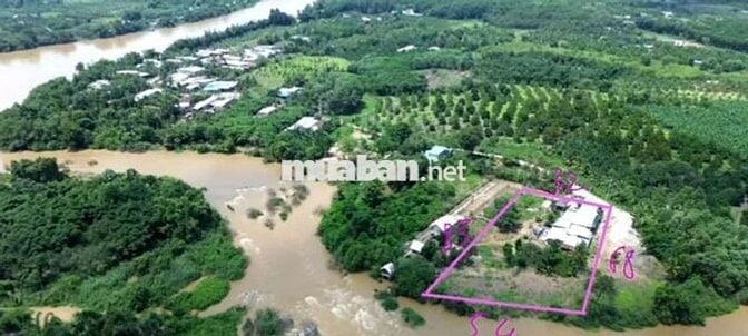 Bán đất và nhà kiên cố để nghĩ dưỡng giáp sông Đồng Nai